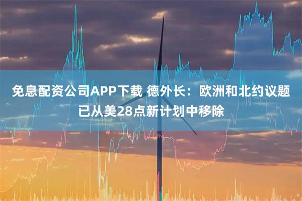 免息配资公司APP下载 德外长：欧洲和北约议题已从美28点新计划中移除