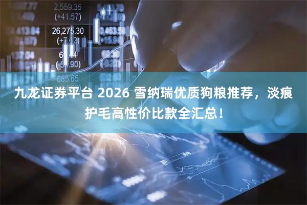 九龙证券平台 2026 雪纳瑞优质狗粮推荐，淡痕护毛高性价比款全汇总！